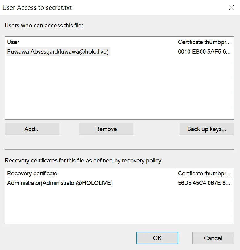 Access Permissions of File