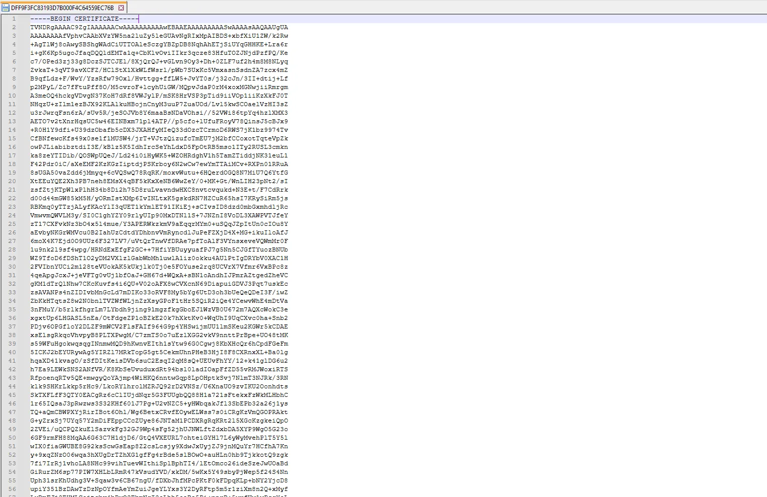 Image of the actual suspicious file's content