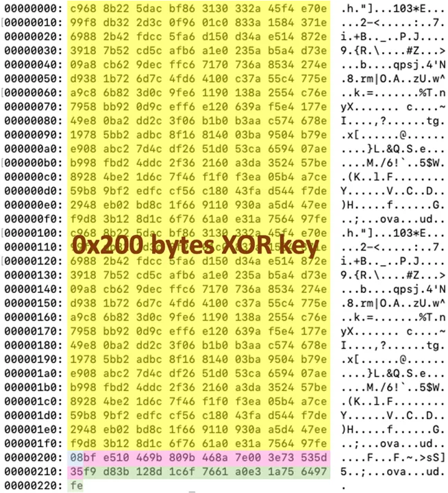 Image of the initial data sent to the C2 server.